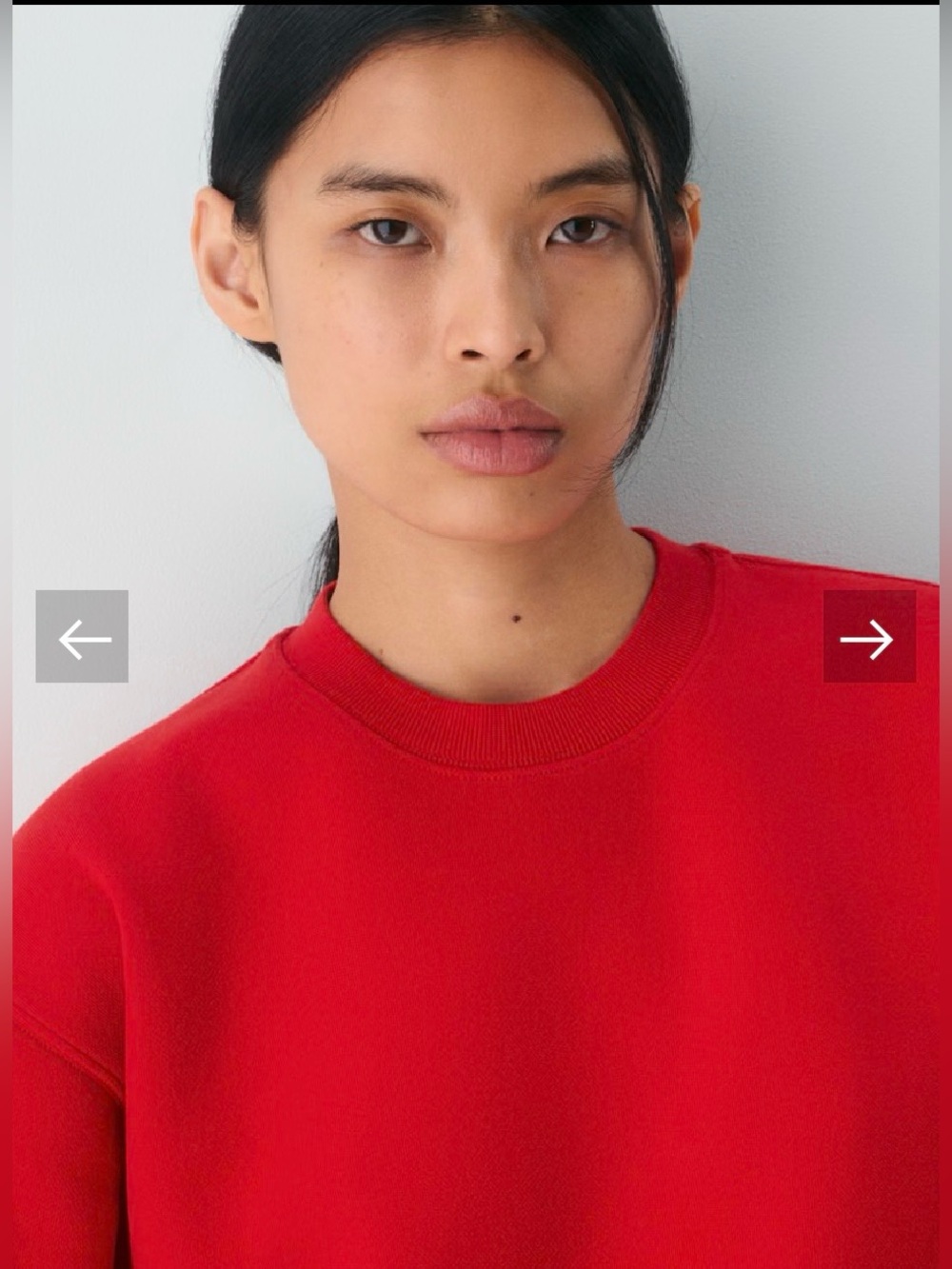 BNWT ARITZIA Sweatfleece Crewneck Sweater